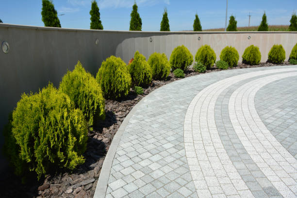 Best Affordable Driveway Paving  in Bassett, VA